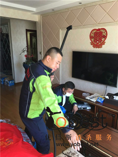 私人别墅灭跳蚤